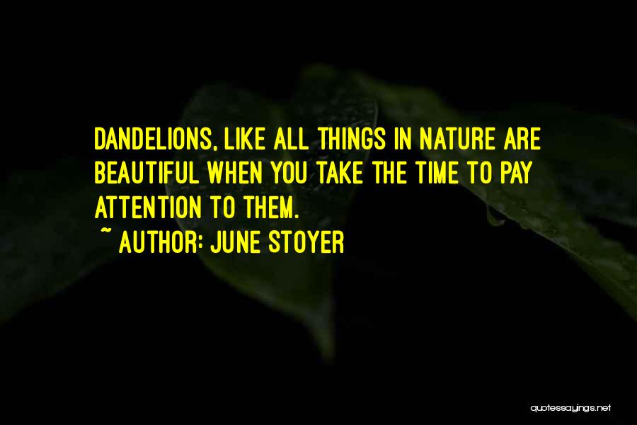 Dandelions Quotes By June Stoyer