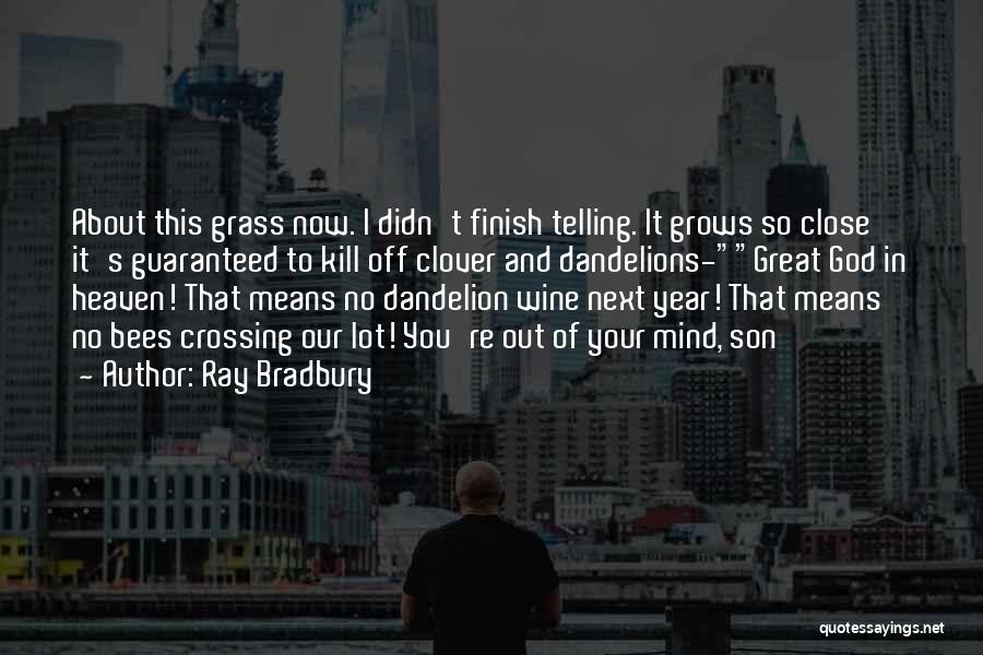 Dandelions Quotes By Ray Bradbury