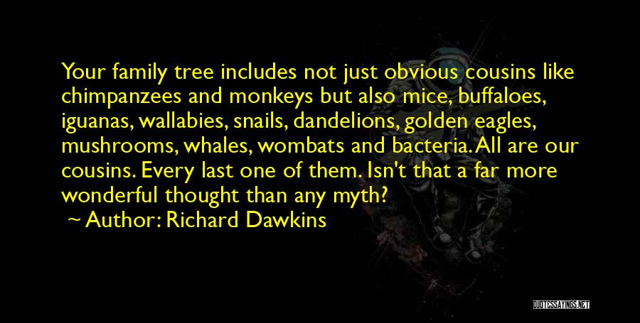 Dandelions Quotes By Richard Dawkins