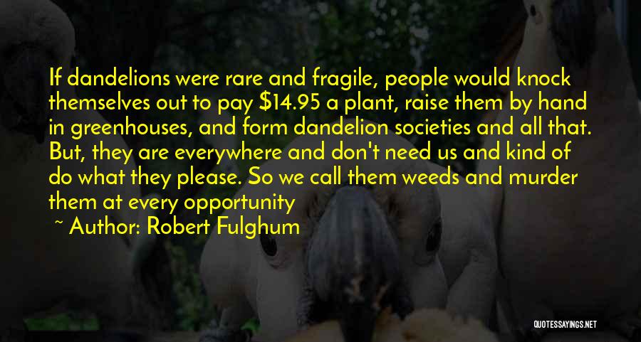 Dandelions Quotes By Robert Fulghum