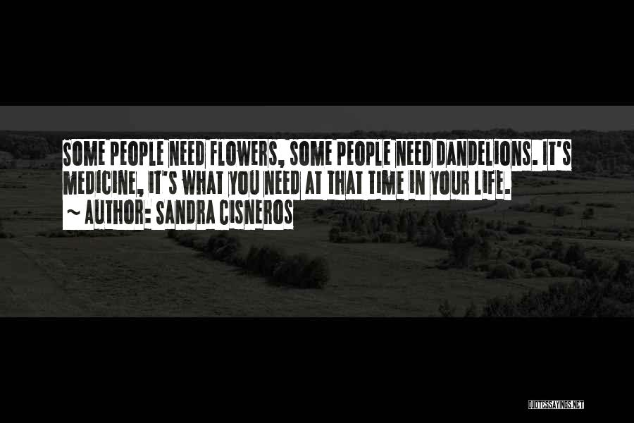 Dandelions Quotes By Sandra Cisneros