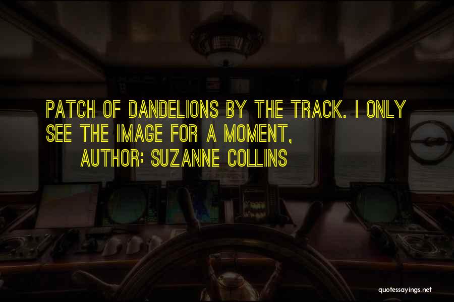 Dandelions Quotes By Suzanne Collins