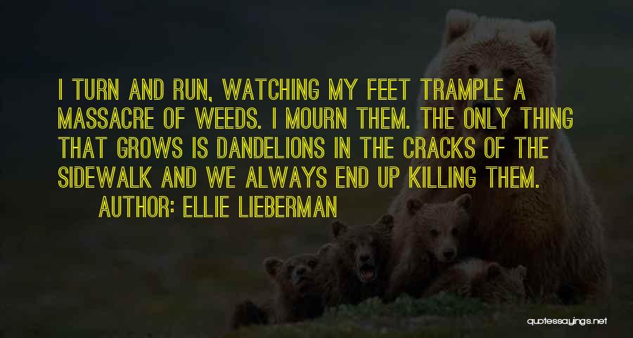 Dandelions Wishes Quotes By Ellie Lieberman