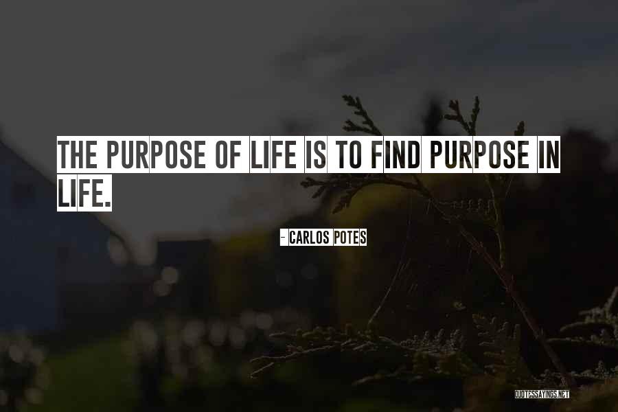 Dandenong Hospital Australia Quotes By Carlos Potes