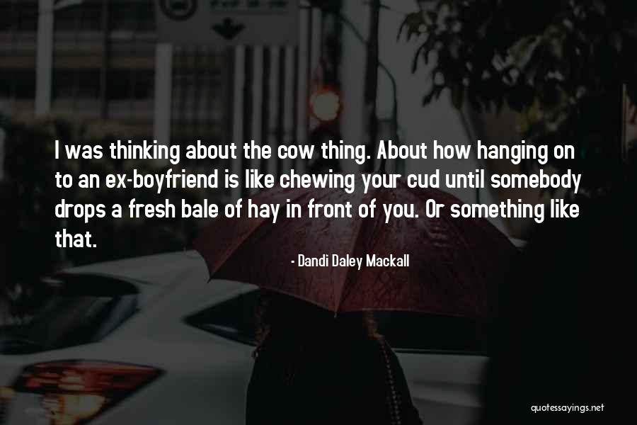 Dandi Daley Mackall Quotes 1524620