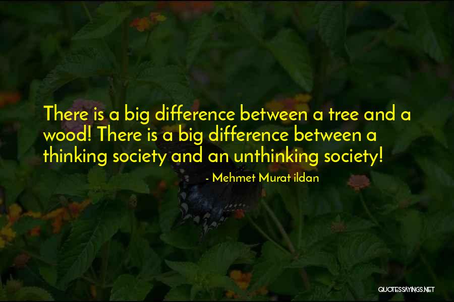 Dandole Polla Quotes By Mehmet Murat Ildan Dandole Polla Quotes By Mehmet Murat Ildan