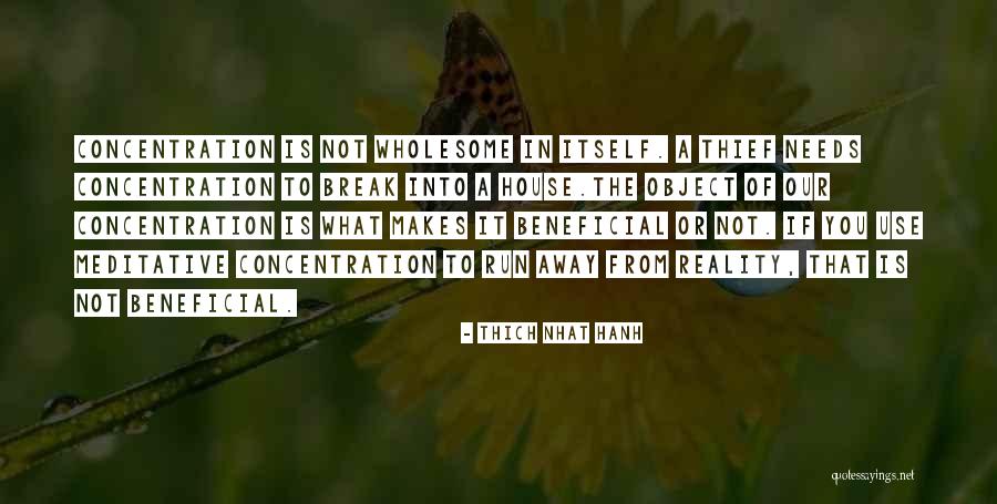 Daneca Diamante Quotes By Thich Nhat Hanh Daneca Diamante Quotes By Thich Nhat Hanh