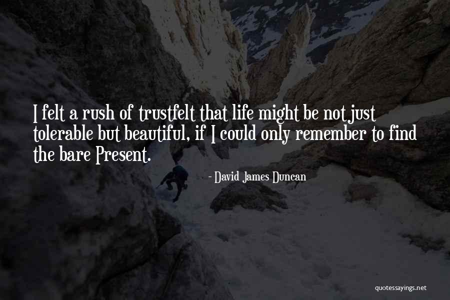 Danegeld Tax Quotes By David James Duncan Danegeld Tax Quotes By David James Duncan