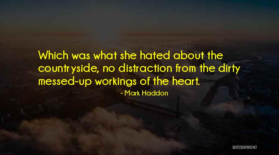 Danesh Razvi Quotes By Mark Haddon Danesh Razvi Quotes By Mark Haddon