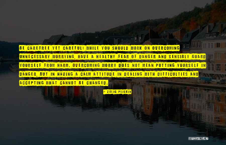 Danger And Fear Quotes By Zelig Pliskin Danger And Fear Quotes By Zelig Pliskin