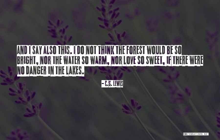 Danger In Love Quotes By C.S. Lewis Danger In Love Quotes By C.S. Lewis