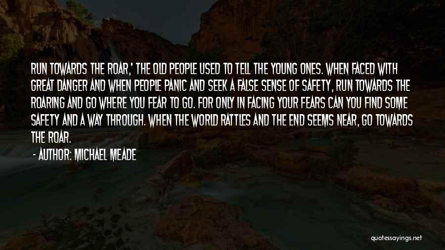 Danger Of Fear Quotes By Michael Meade