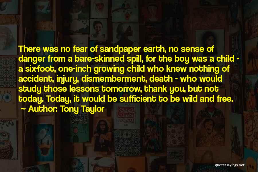 Danger Of Fear Quotes By Tony Taylor