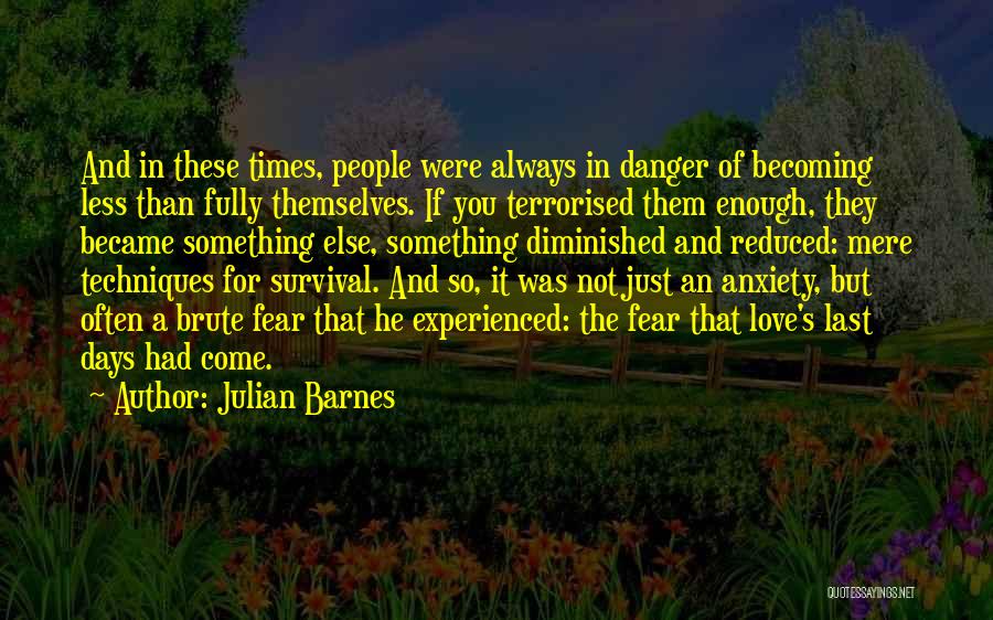 Danger Of Love Quotes By Julian Barnes