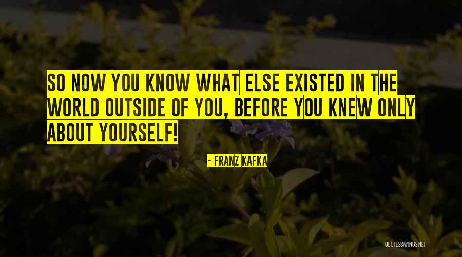 Danger Of Single Story Slide Quotes By Franz Kafka Danger Of Single Story Slide Quotes By Franz Kafka