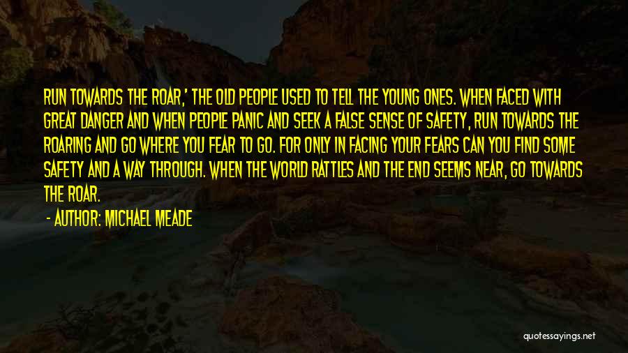 Danger Quotes By Michael Meade