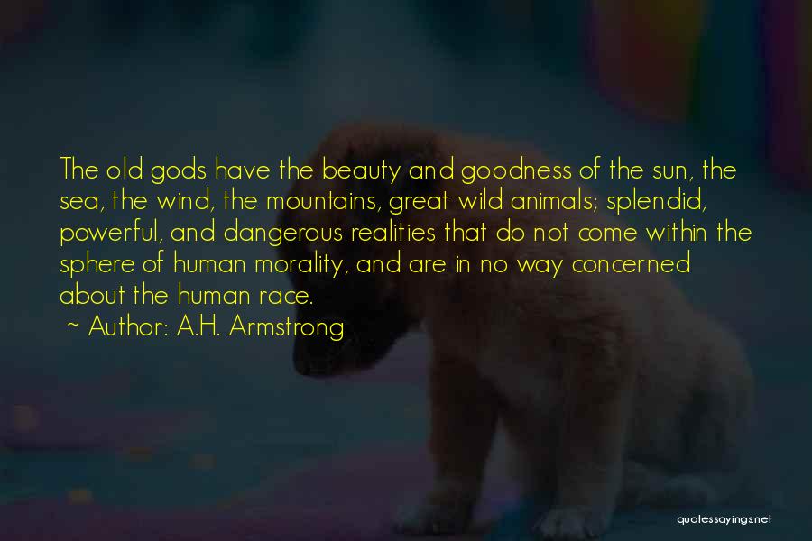 Dangerous Beauty Quotes By A.H. Armstrong