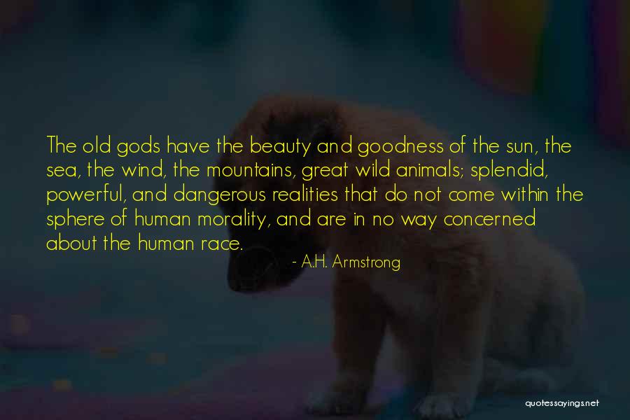 Dangerous Beauty Quotes By A.H. Armstrong