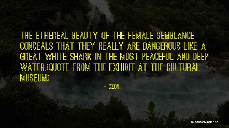 Dangerous Beauty Quotes By Czon