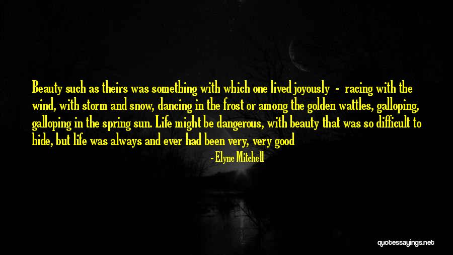 Dangerous Beauty Quotes By Elyne Mitchell