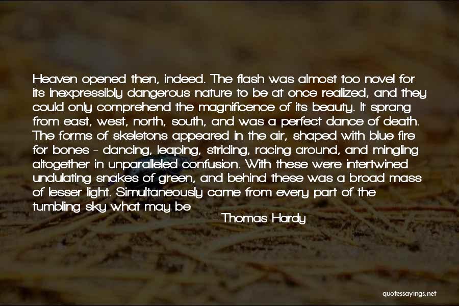 Dangerous Beauty Quotes By Thomas Hardy