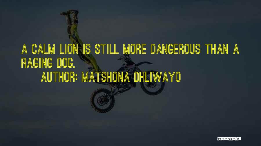 Dangerous Dog Quotes By Matshona Dhliwayo