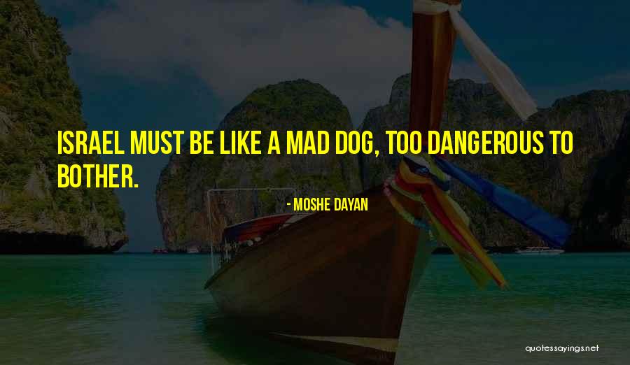 Dangerous Dog Quotes By Moshe Dayan