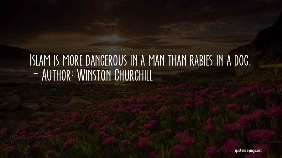 Dangerous Dog Quotes By Winston Churchill