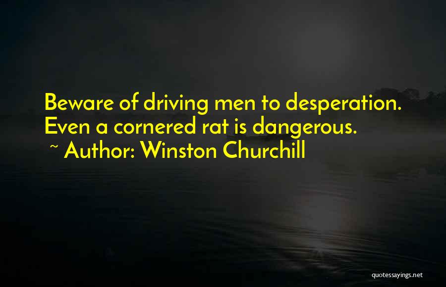 Dangerous Driving Quotes By Winston Churchill