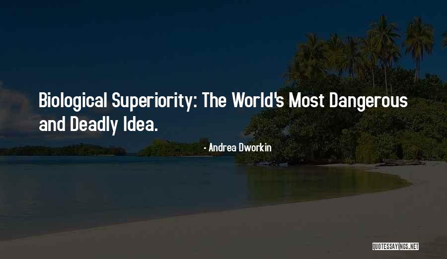 Dangerous Ideas Quotes By Andrea Dworkin Dangerous Ideas Quotes By Andrea Dworkin