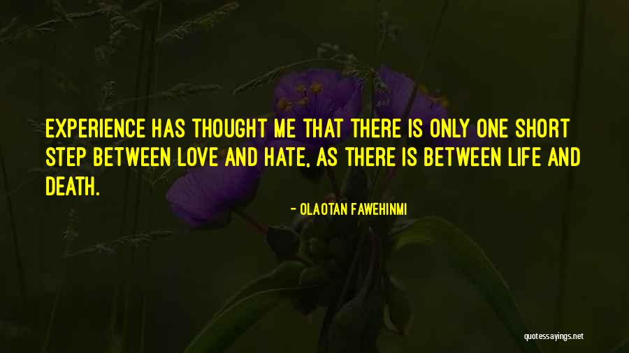 Dangerous Insects Quotes By Olaotan Fawehinmi Dangerous Insects Quotes By Olaotan Fawehinmi