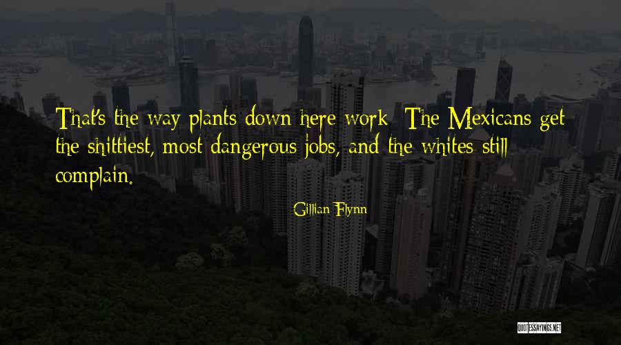 Dangerous Jobs Quotes By Gillian Flynn Dangerous Jobs Quotes By Gillian Flynn