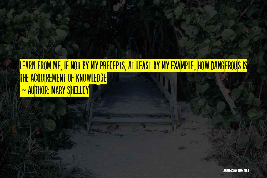 Dangerous Knowledge Quotes By Mary Shelley