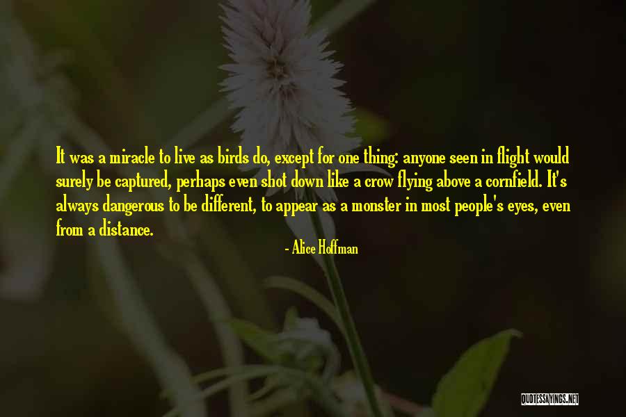 Dangerous Monster Quotes By Alice Hoffman Dangerous Monster Quotes By Alice Hoffman