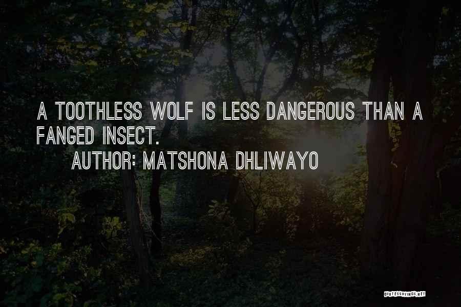Dangerous Sayings And Quotes By Matshona Dhliwayo