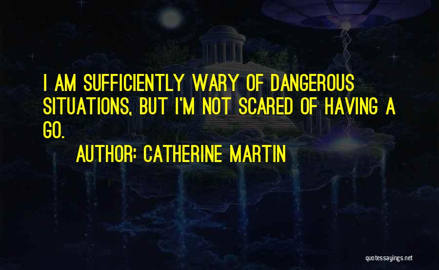 Dangerous Situations Quotes By Catherine Martin