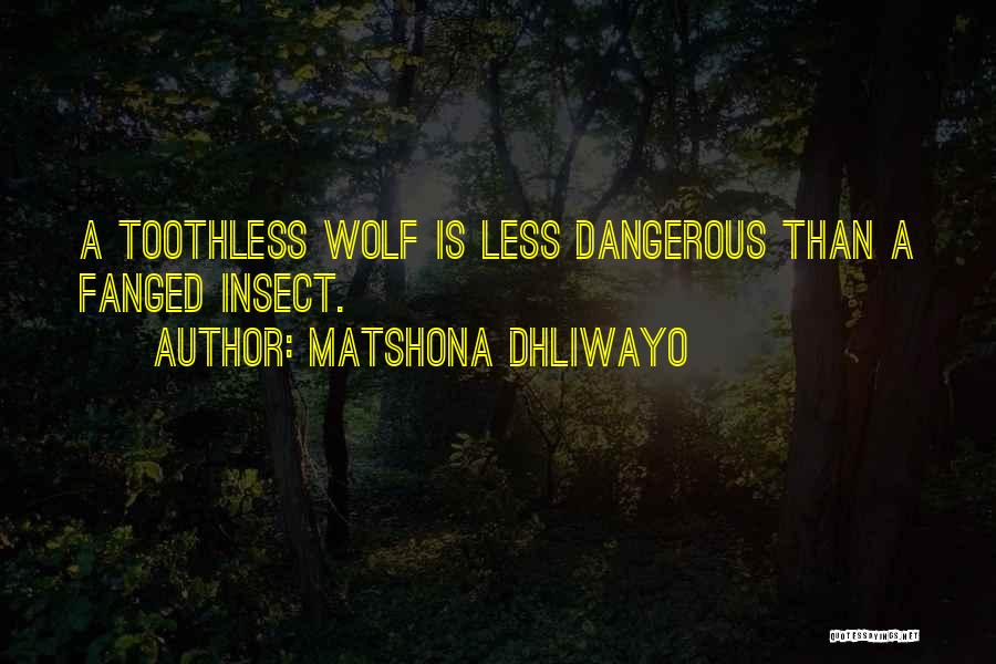 Dangerous Wolf Quotes By Matshona Dhliwayo