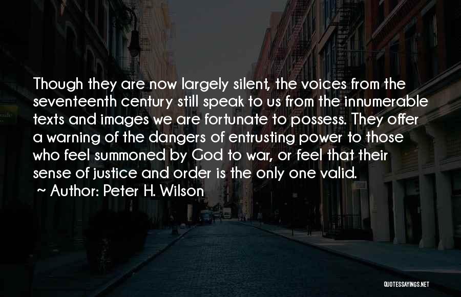Dangers Of Power Quotes By Peter H. Wilson