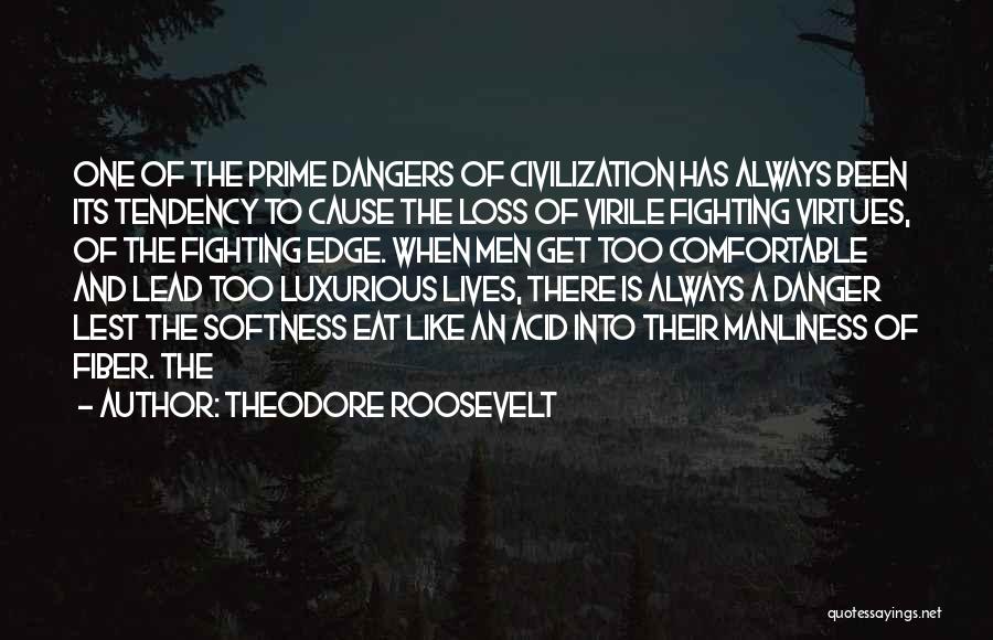 Dangers Of Quotes By Theodore Roosevelt