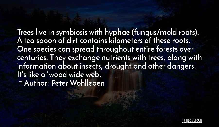 Dangers Of Science Quotes By Peter Wohlleben