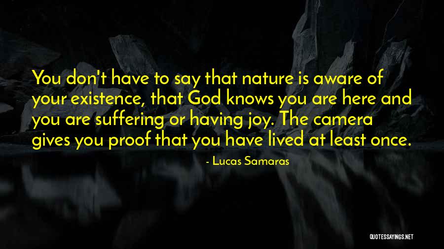 Danglars Monte Quotes By Lucas Samaras Danglars Monte Quotes By Lucas Samaras