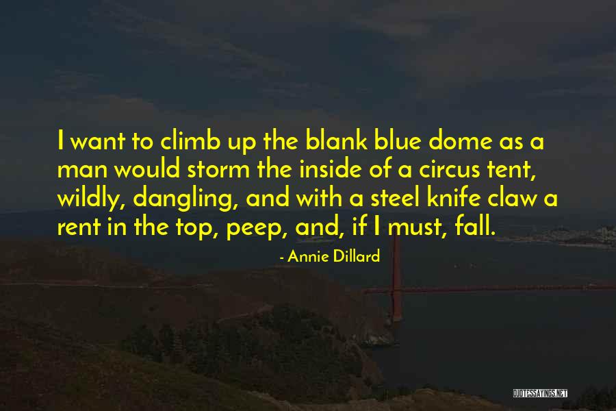 Dangling Man Quotes By Annie Dillard