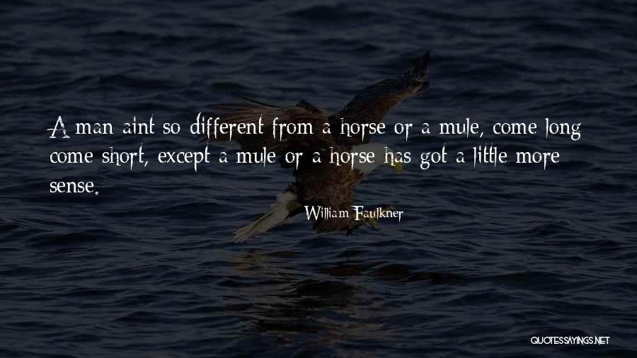 Dangus Kong Quotes By William Faulkner Dangus Kong Quotes By William Faulkner