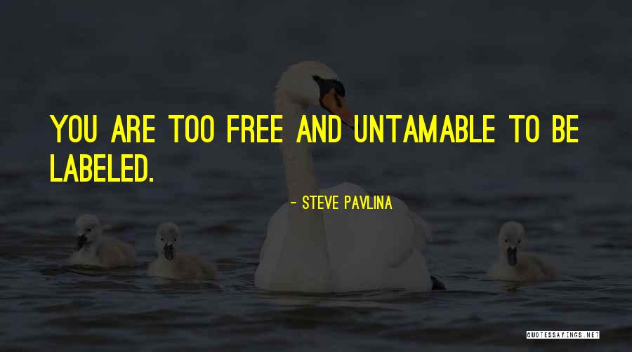 Danhoff Donald Quotes By Steve Pavlina Danhoff Donald Quotes By Steve Pavlina