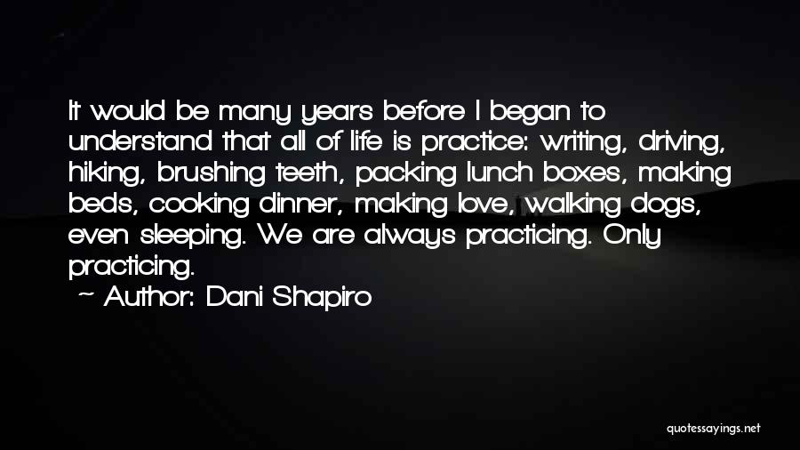 Dani Love Quotes By Dani Shapiro