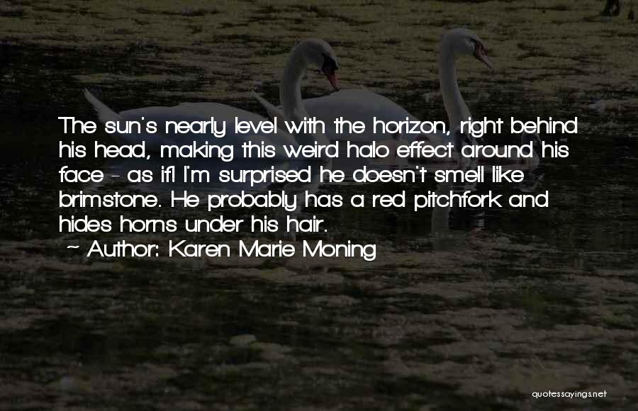 Dani O'malley Quotes By Karen Marie Moning