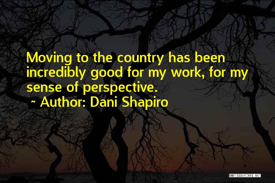 Dani Shapiro Quotes 140734