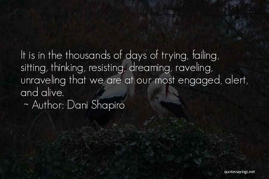 Dani Shapiro Quotes 1746077