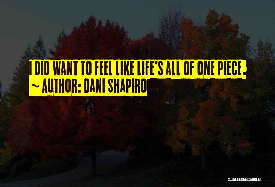 Dani Shapiro Quotes 1866540