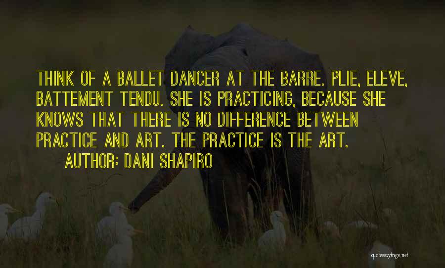 Dani Shapiro Quotes 1908862